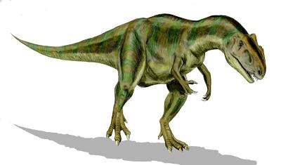 Allosaurus_BW[1].jpg