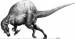 800px-Spinosaurus[1].jpg